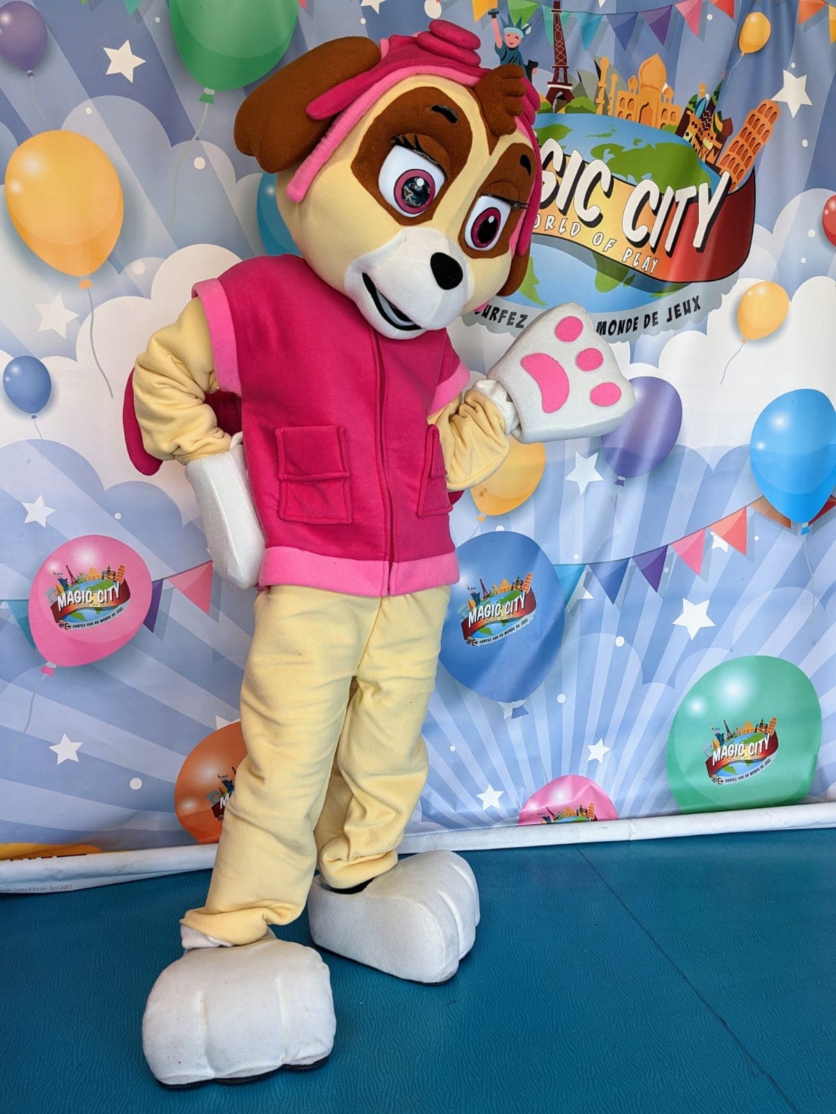 Mascotte Stella